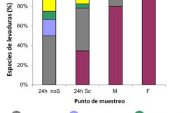 Levaduras modificadas genéticamente, un silencio significativo