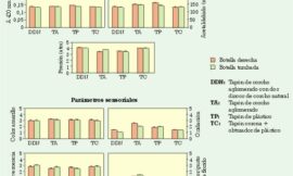 Evolución del cava y champagne según diferentes tipos de taponado