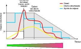 Balance y perspectivas de 10 años de microoxigenación