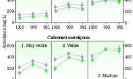 La maceración prefermentativa en frío: Efectos en la extracción del color y los compuestos fenólicos, e influencia del nivel de maduración de la uva