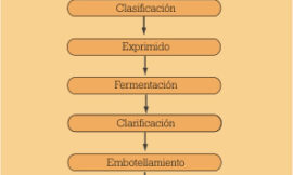 Control APPCC de ocratoxina A en vino