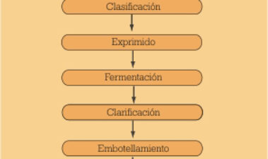 Control APPCC de ocratoxina A en vino