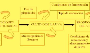 Factores determinantes de ocratoxina A en vino