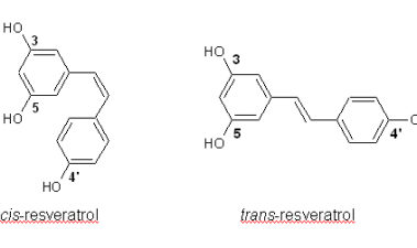 Polifenoles del aceite de oliva y homologías con el vino en aspectos de salud