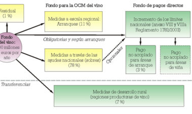 Nuevas perspectivas en viticultura derivadas de la reforma del vino