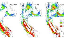 Cambio climático: observaciones, pronósticos e implicaciones generales en viticultura y producción vinícola