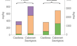 Maceración prefermentativa en frío. Aspectos tecnológicos en la elaboración de vinos de crianza