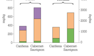 Maceración prefermentativa en frío. Aspectos tecnológicos en la elaboración de vinos de crianza