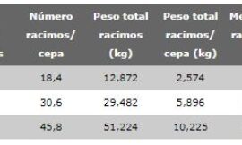 Listán negro y forastero negro en Tenerife, ¿variedades o clones?