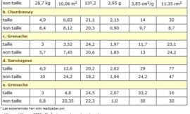 Interés actual de las técnicas de no poda y poda mecánica en el viñedo para reducir los costes de producción de la uva