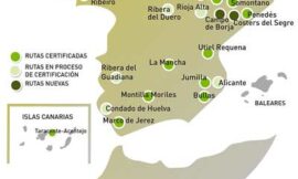 Rutas del vino de España: la apuesta de Acevin por el enoturismo de calidad