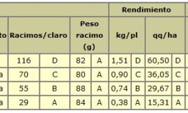Efecto del nivel de raleo de racimos en la concentración polifenólica en vino malbec