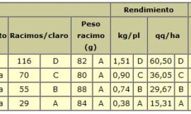 Efecto del nivel de raleo de racimos en la concentración polifenólica en vino malbec