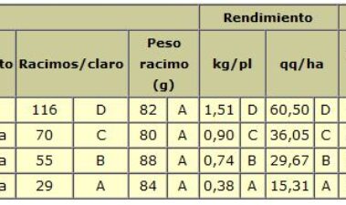 Efecto del nivel de raleo de racimos en la concentración polifenólica en vino malbec