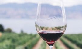 Características y operaciones en el viñedo: manejo orientado a la calidad de la uva