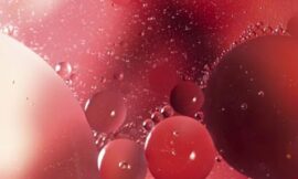 El vino: una biocatálisis de alta expresión
