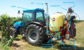 Tratamientos fitosanitarios en viña: nuevas tecnologías para un proceso más seguro y sostenible