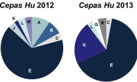 Utilización de inóculos mixtos de levaduras autóctonas como herramienta para reproducir la huella microbiológica de la zona