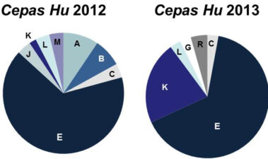 Utilización de inóculos mixtos de levaduras autóctonas como herramienta para reproducir la huella microbiológica de la zona