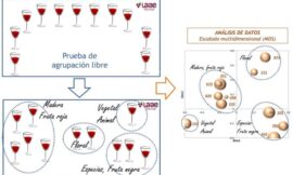 Caracterización organoléptica de vinos mediante nuevos métodos de análisis descriptivos
