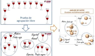 Caracterización organoléptica de vinos mediante nuevos métodos de análisis descriptivos