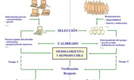 La sensometría en la formación y validación de paneles de catadores entrenados