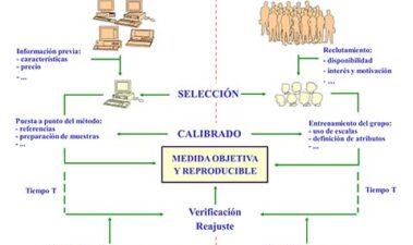 La sensometría en la formación y validación de paneles de catadores entrenados