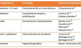 Estrategias para el desarrollo de la fermentación maloláctica en vinos con pH extremos
