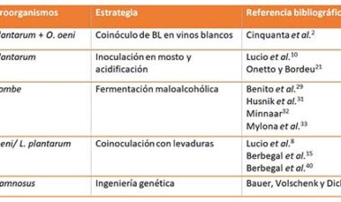 Estrategias para el desarrollo de la fermentación maloláctica en vinos con pH extremos