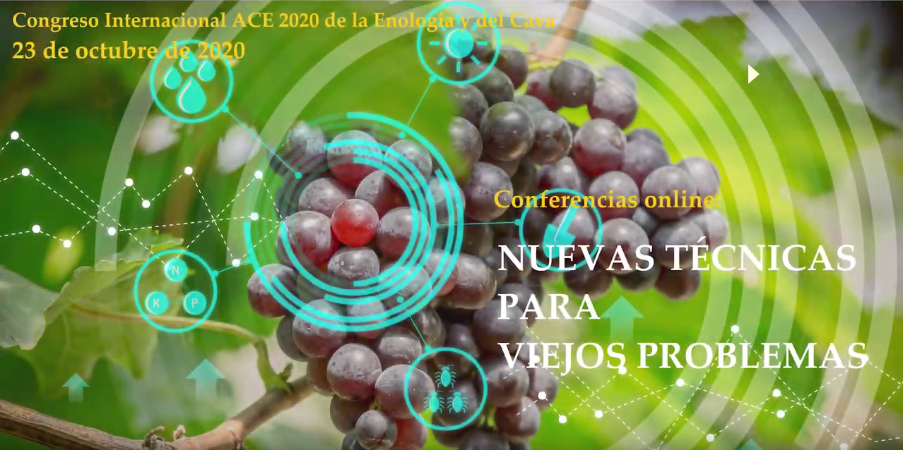 POLEN DE ABEJA NATURAL - Orujos y Vinos