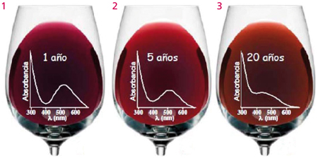 variación del color del vino con los años
