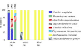 Diversidad microbiana y alteraciones durante la fermentación alcohólica: el yin y el yang para el enólogo