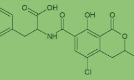 Micotoxinas y vinos ecológicos