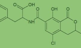 Micotoxinas y vinos ecológicos