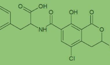 Micotoxinas y vinos ecológicos