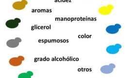 Aplicación de levaduras no-Saccharomyces en enología