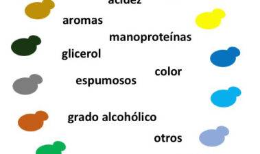 Aplicación de levaduras no-Saccharomyces en enología