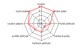 Análisis sensorial de la uva y caracterización de la madurez. Aplicación a la garnacha