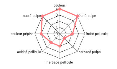 Análisis sensorial de la uva y caracterización de la madurez. Aplicación a la garnacha