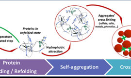 New tools for white wine protein stabilization