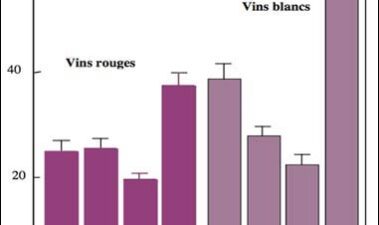 Principios y utilidad de la medida del potencial redox en los vinos