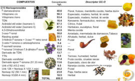 Potencial aromático de las principales variedades de uva cultivadas en climas cálidos: el caso de Sudamérica