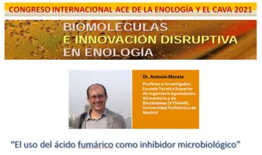 El uso del ácido fumárico como inhibidor microbiológico