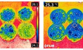 Uso de las tecnologías no térmicas Ultra High Pressure Homogenization (UHPH) y Pulsed Light (PL) para mejorar la calidad de los vinos