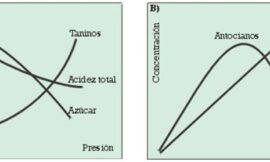 Enología sensorial