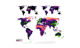 Restablecer la biodiversidad invisible