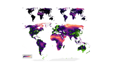 Restablecer la biodiversidad invisible