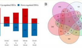 Efecto del clima en el metabolismo: ¿qué pasa en la baya?