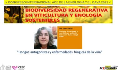 Hongos antagonistas y enfermedades fúngicas de la viña