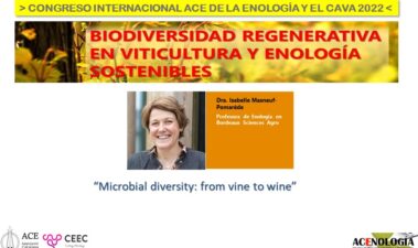 Microbial diversity: from vine to wine